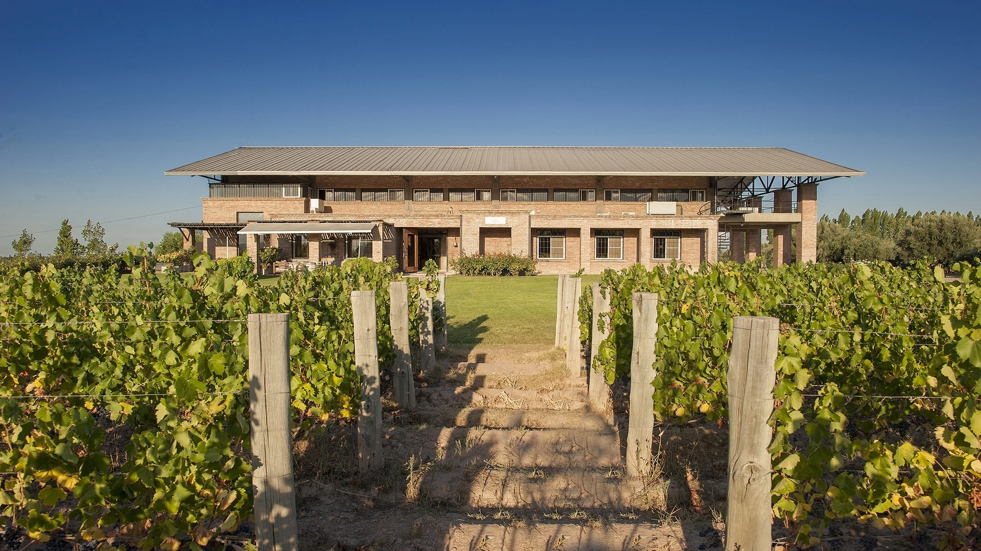Bodega Achaval-Ferrer