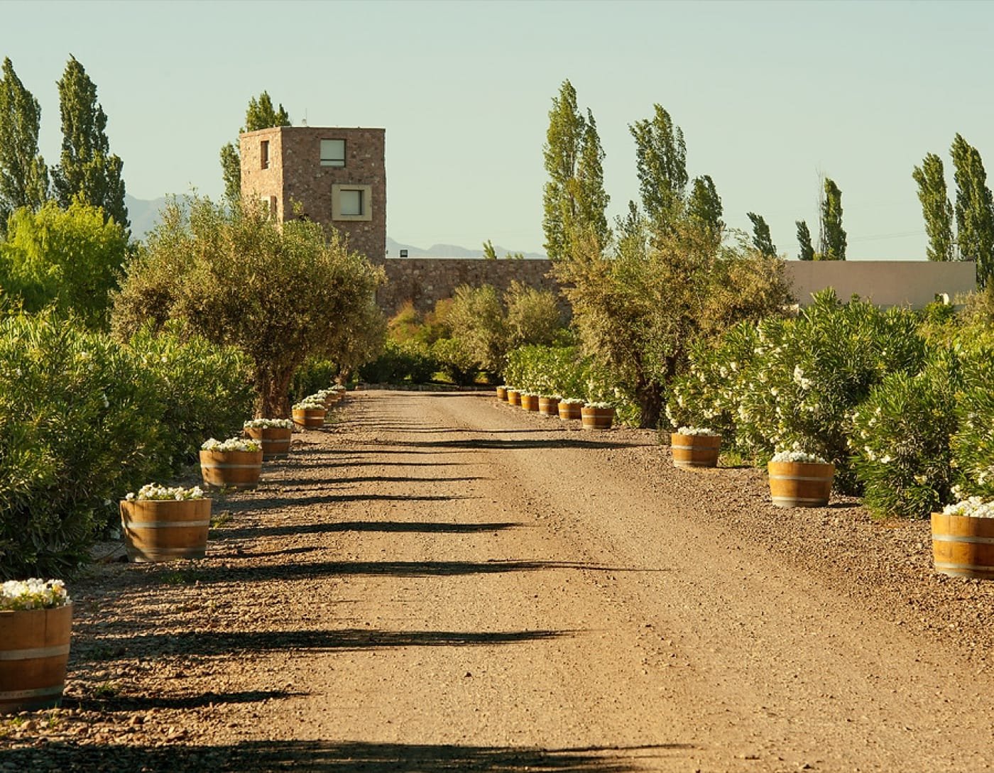 Bodega Renacer