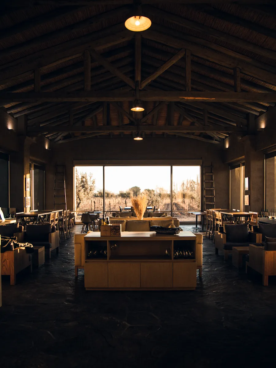 Mendoza wine tasting and regional gastronomy